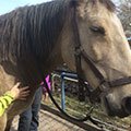 Phsiotherapie