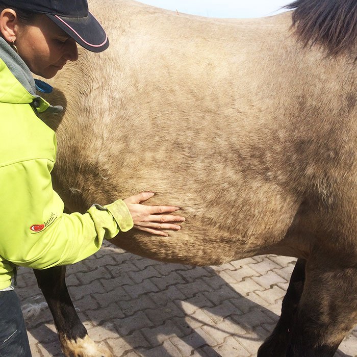 Pysiotherapie2